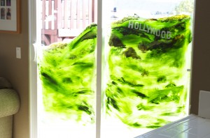 Outdoor Slider Decorations For Hollywood Baby Shower