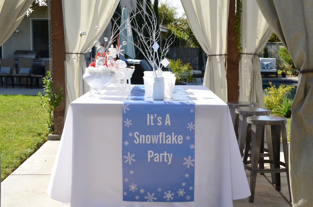 Snowflake Party - Banner