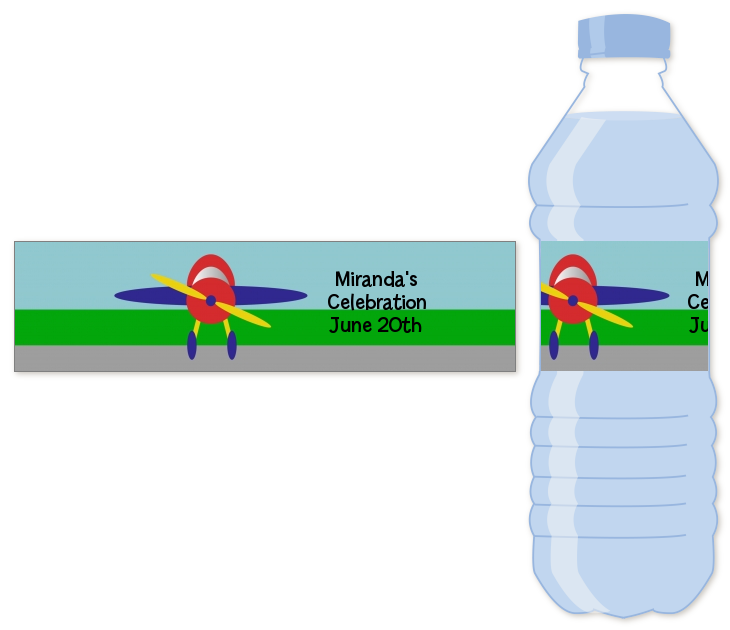 Custom Airplane Premium Water Bottle