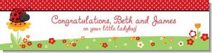 Modern Ladybug Red - Personalized Baby Shower Banners