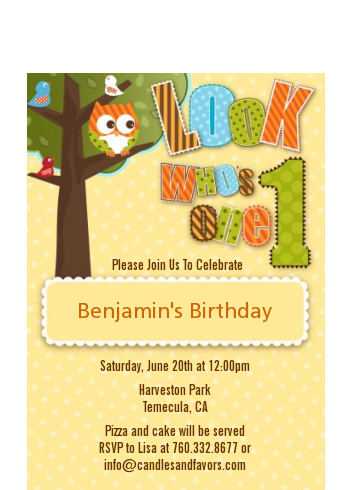Look Who's Turning One Owl - Birthday Party Petite Invitations