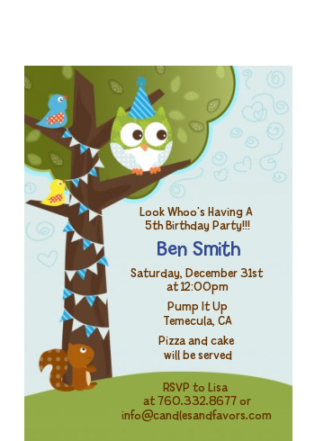Owl Birthday Boy - Birthday Party Petite Invitations