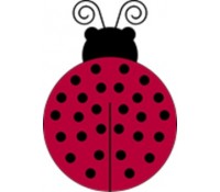 Ladybug