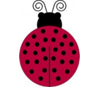 Ladybug