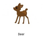 Deer