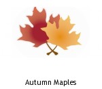 Autumn Maples