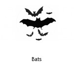 Bats