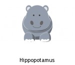 Hippopotamus