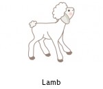 Lamb