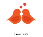 Love Birds