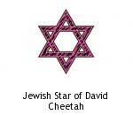 Jewish Star of David Cheetah