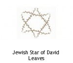 Jewish Star of David Leaves