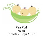 Pea Pod Asian Triplets 2 Boys 1 Girl