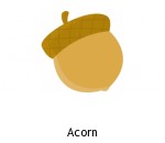 Acorn