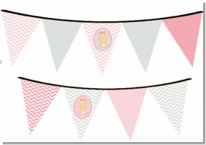 It's A Girl Chevron - Baby Shower Themed Pennant Set