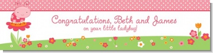 Modern Ladybug Pink - Personalized Birthday Party Banners