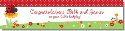 Modern Ladybug Red - Personalized Baby Shower Banners