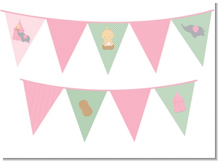 Our Little Peanut Girl - Baby Shower Themed Pennant Set