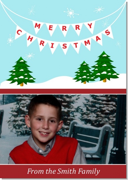 Winter Wonderland - Personalized Photo Christmas Cards